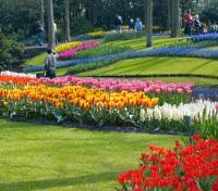Keukenhof Gardens